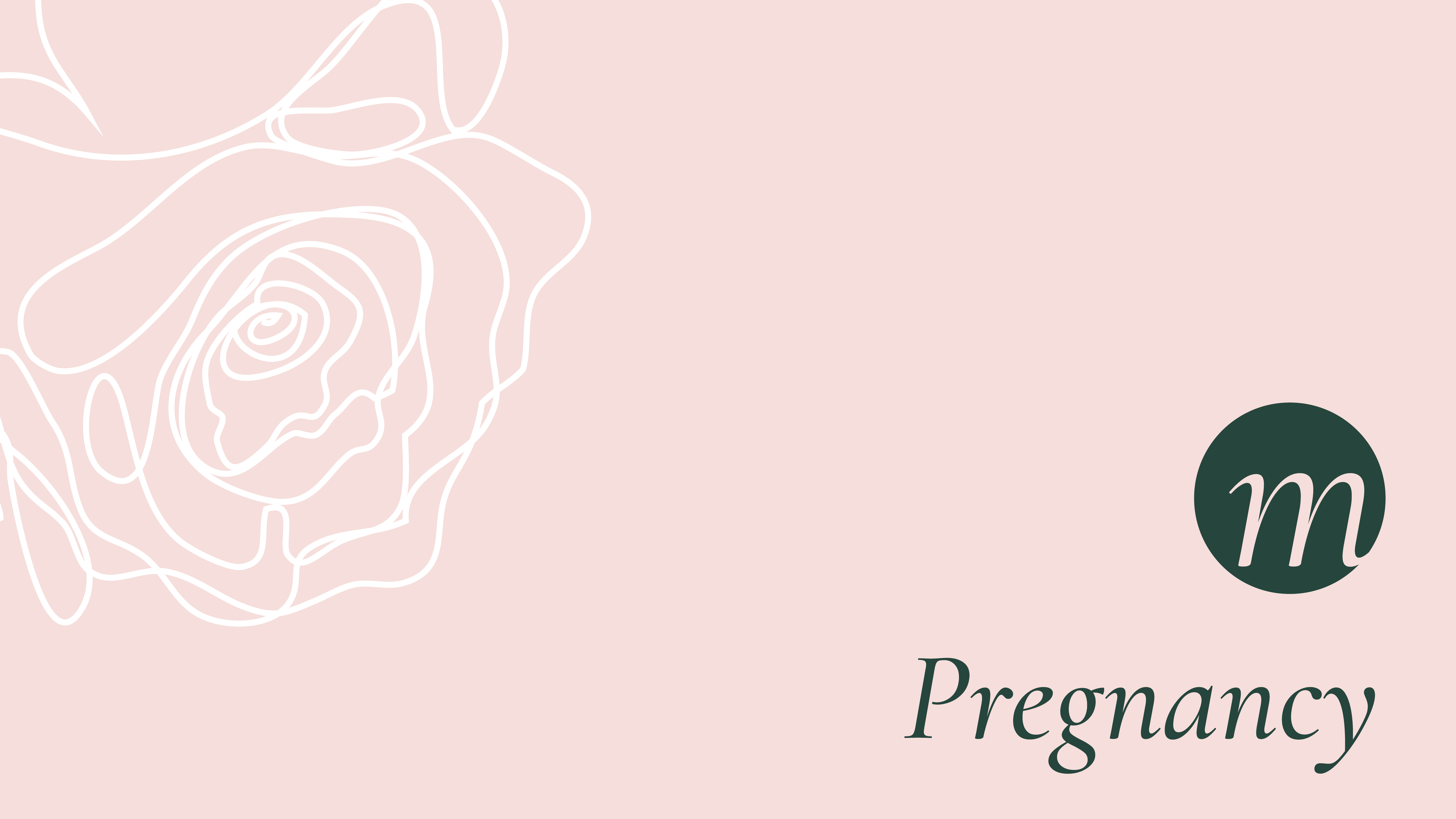 SMS Pregnancy Banner 01